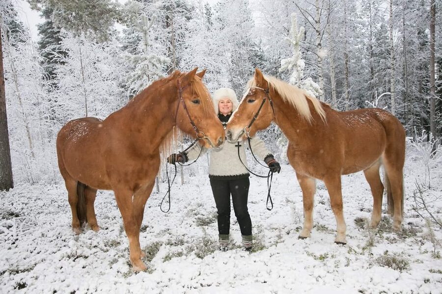 Rovaniemi: Riding Tour with Finnhorses at SCV - How much value do you get for $123?