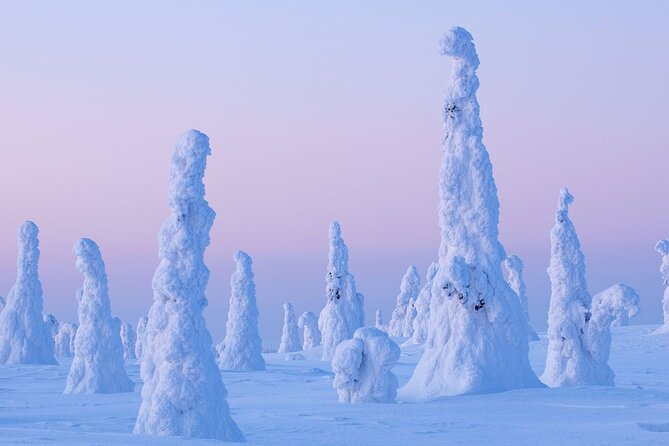 Rovaniemi: Riisitunturi Full-Day Wilderness Adventure & BBQ - An 8:00 am start from Rovaniemi