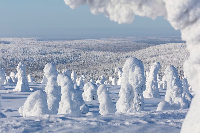 Rovaniemi: Riisitunturi Full-Day Wilderness Adventure & BBQ - Who will enjoy this day most