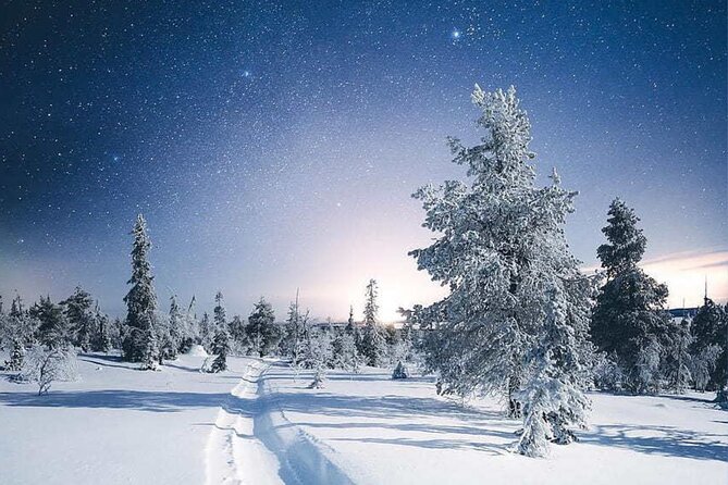 Rovaniemi: Riisitunturi Full-Day Wilderness Adventure & BBQ - Following snowy trails through Riisitunturi