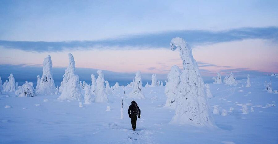 Rovaniemi: Riisitunturi National Park Day Trip with Lunch - Key things to know before you go