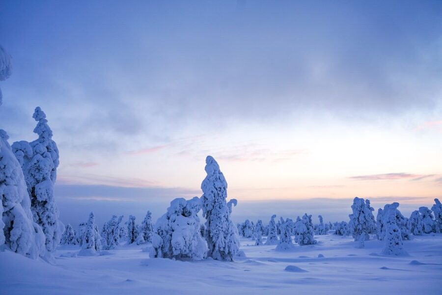 Rovaniemi: Riisitunturi National Park Day Trip with Lunch - Why Riisitunturi is worth the long ride from Rovaniemi