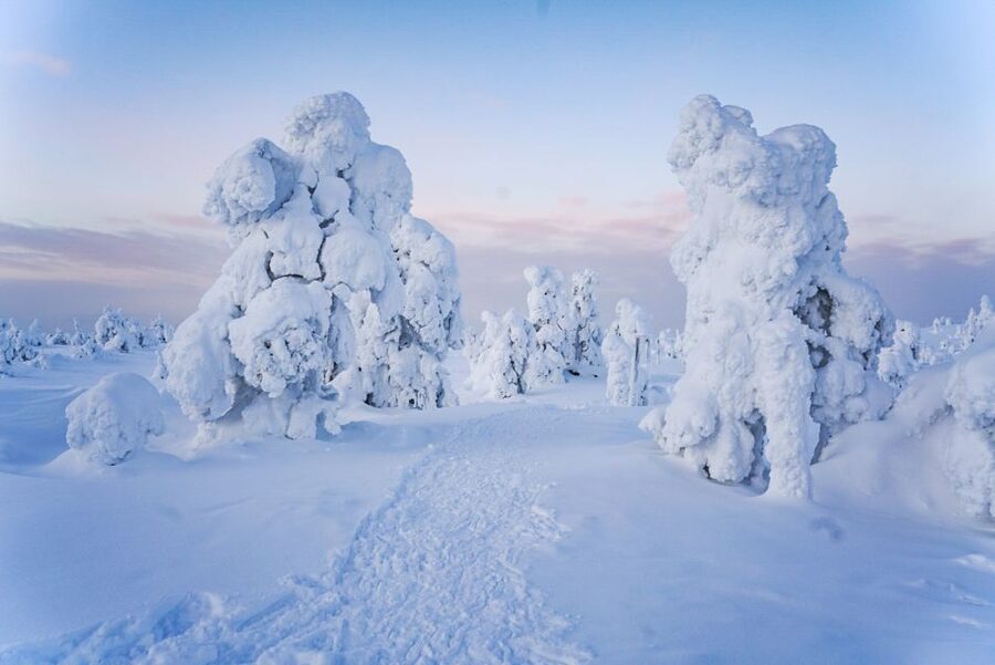Rovaniemi: Riisitunturi National Park Day Trip with Lunch - The summit, the wind, and the limits of winter daylight