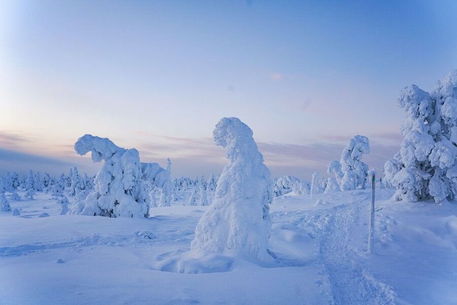 Rovaniemi: Riisitunturi National Park Day Trip with Lunch - Clothing, fitness, and who should book