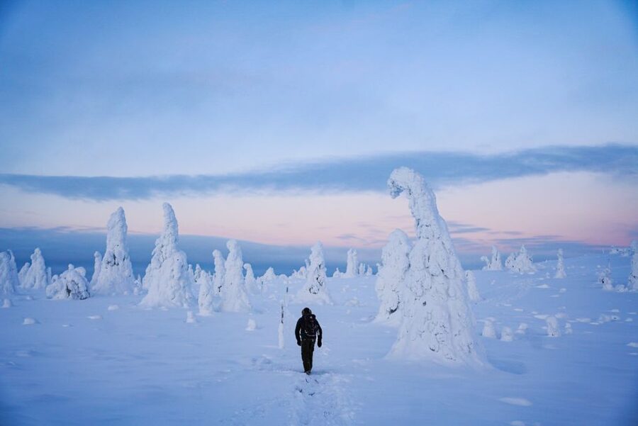 Rovaniemi: Riisitunturi National Park Day Trip with Lunch - Is $223 a fair price?