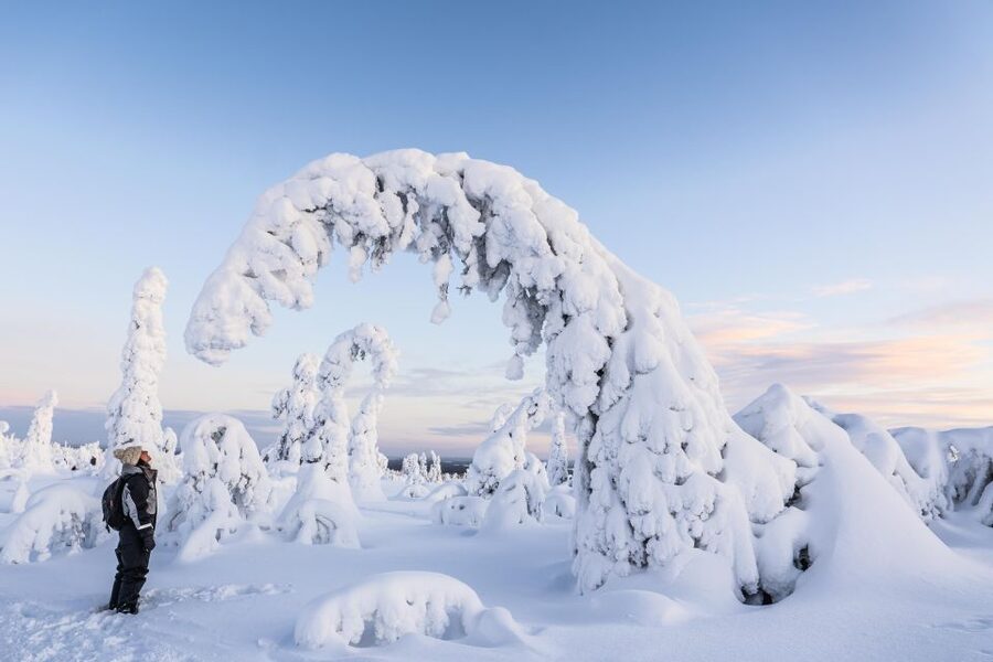Rovaniemi: Riisitunturi National Park with Pro Photos & BBQ - A campfire lunch in the middle of the park