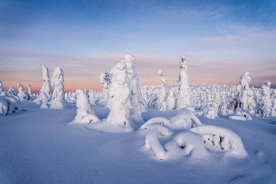 Rovaniemi: Riisitunturi National Park with Pro Photos & BBQ - The two-hour ride from Rovaniemi