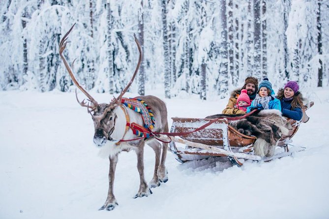 Rovaniemi Santa Claus Village Husky Reindeer Farm Arctic Museum - Santa Claus Village and the Arctic Circle line