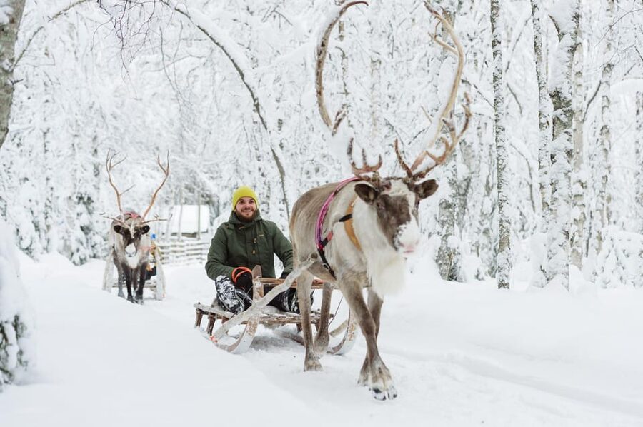 Rovaniemi: Santa Claus Village + Husky & Reindeer Sled Ride - Key points at a glance
