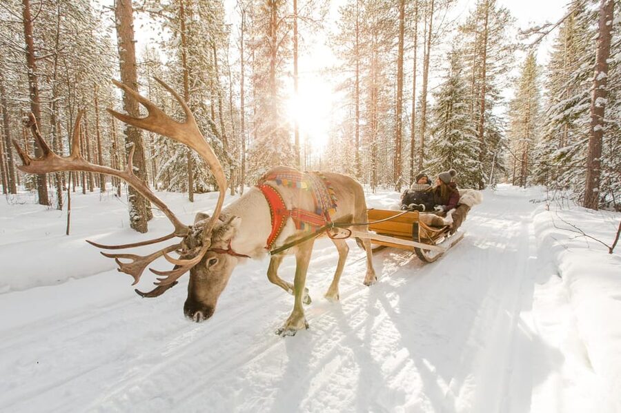 Rovaniemi: Santa Claus Village + Husky & Reindeer Sled Ride - Meeting the huskies at a local farm