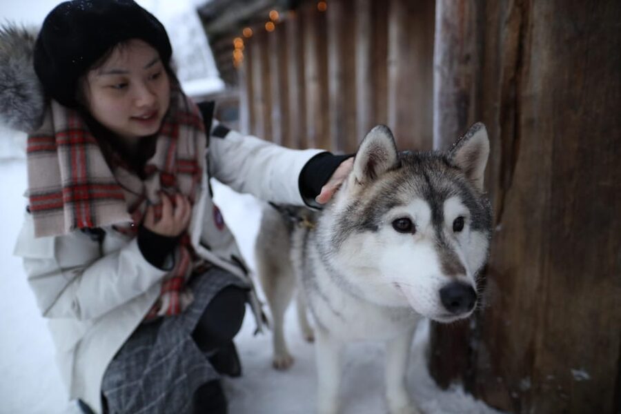 Rovaniemi: Santa Claus Village Tour Huskies & Reindeer ride - Winter rides and the November 15 cutoff