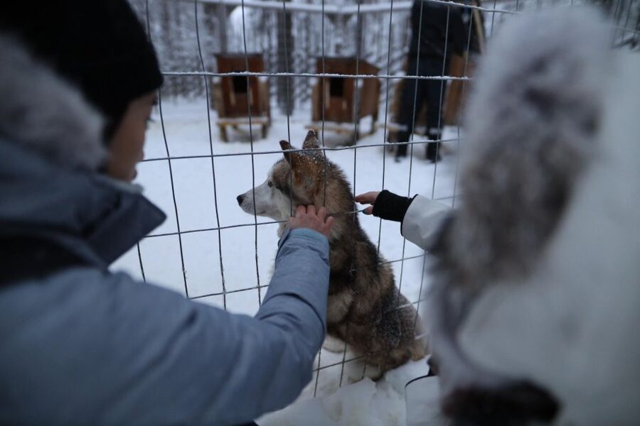 Rovaniemi: Santa Claus Village Tour Huskies & Reindeer Visit - Key points at a glance