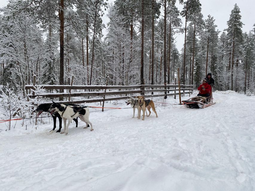 Rovaniemi: Santa Claus Village Tour Huskies & Reindeer Visit - Is $235 a fair price?
