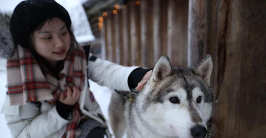 Rovaniemi: Santa Claus Village Tour Huskies & Reindeer Visit - Sending a postcard from Santa’s post office