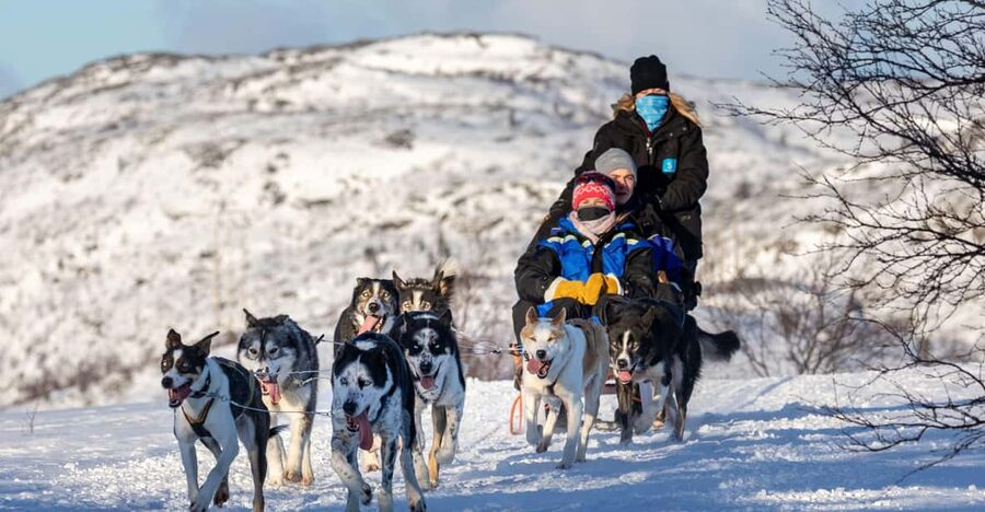 Rovaniemi: Santa's Village, Husky, & Reindeer Sled Ride - The husky farm: the biggest question mark