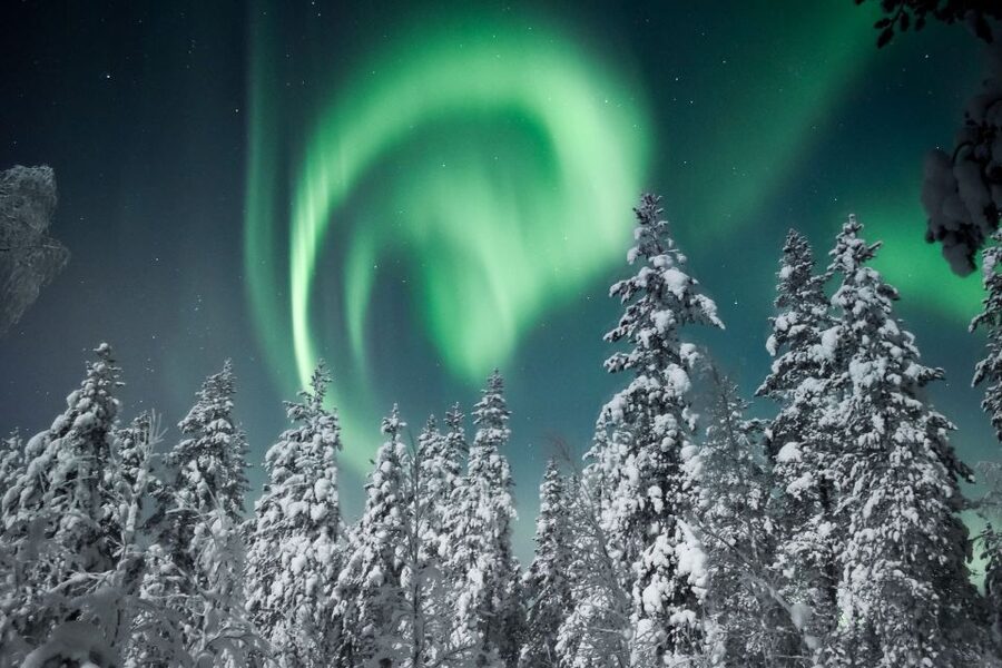 Rovaniemi: Search for Northern Lights Snowmobiling Trip - Searching for the northern lights