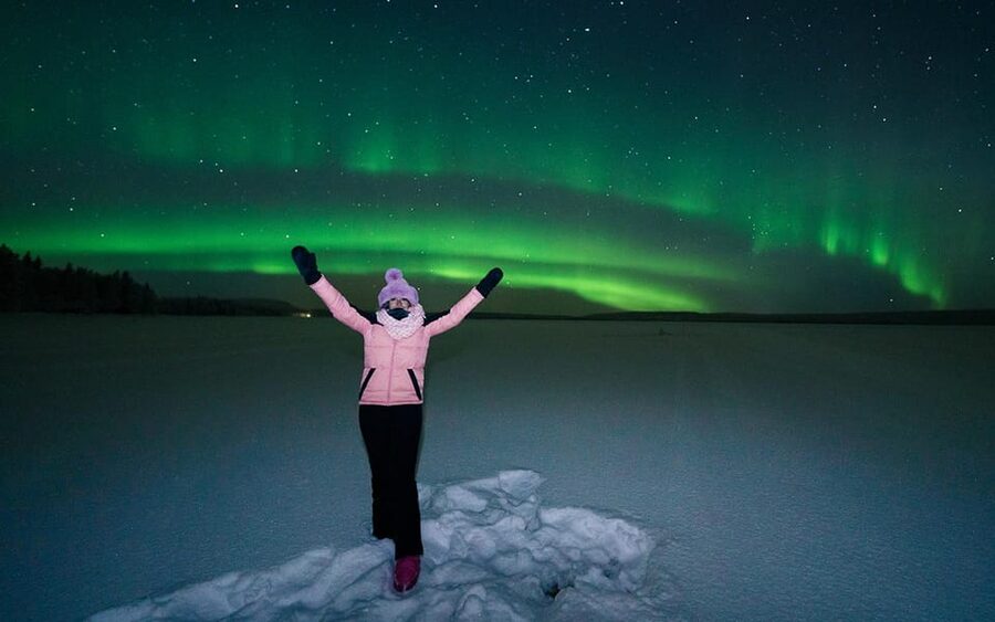 Rovaniemi: Small Group Aurora Hunt-full money back guarantee - Chasing clear skies across several stops