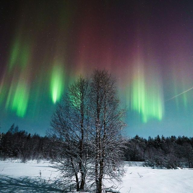 Rovaniemi: Small Group Aurora Hunt-full money back guarantee - Who should book this aurora hunt