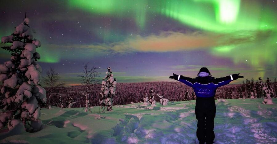 Rovaniemi: Small-Group Northern Lights Wilderness Tour - Who will enjoy this Rovaniemi tour?