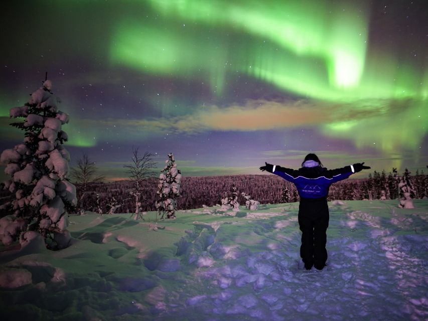 Rovaniemi: Small-Group Northern Lights Wilderness Tour - Second and third stops: chasing clear sky
