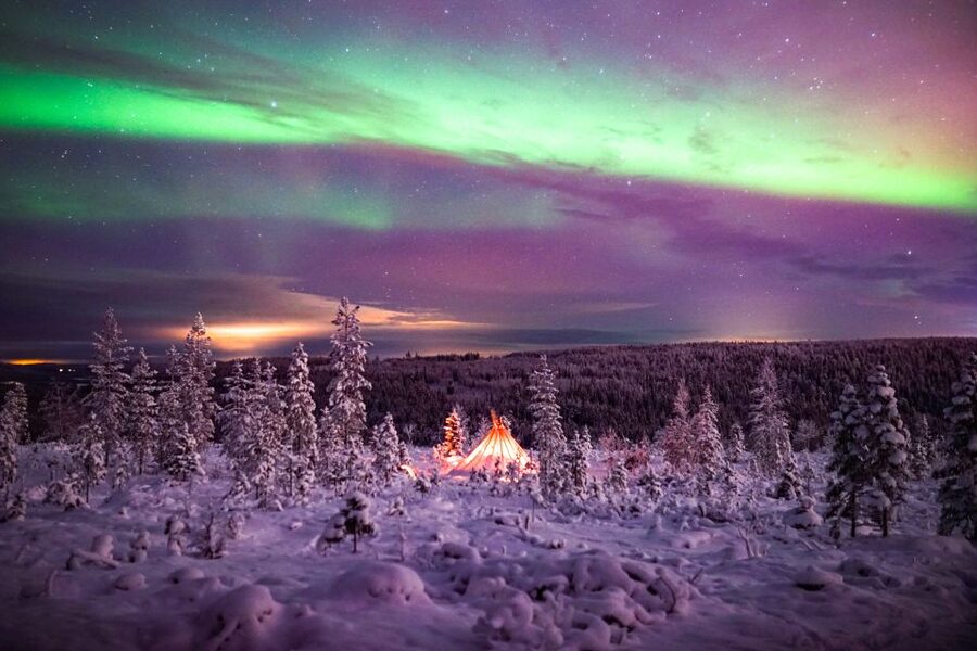 Aurora over snow-loaded pines outside Rovaniemi