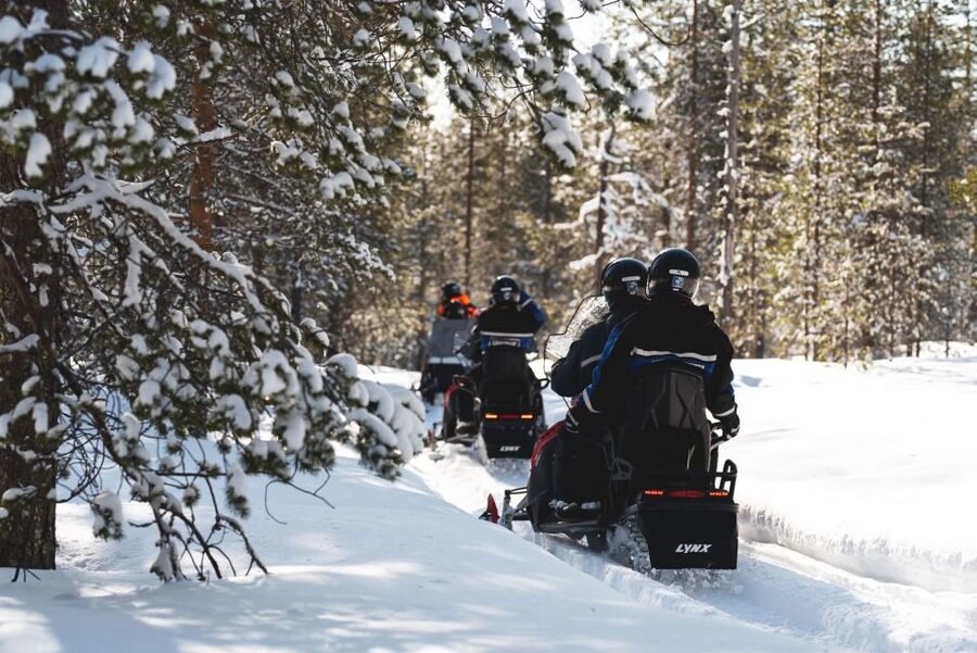 Rovaniemi: Snowmobile Adventure Tour for Adults Only - Key points to know before you book