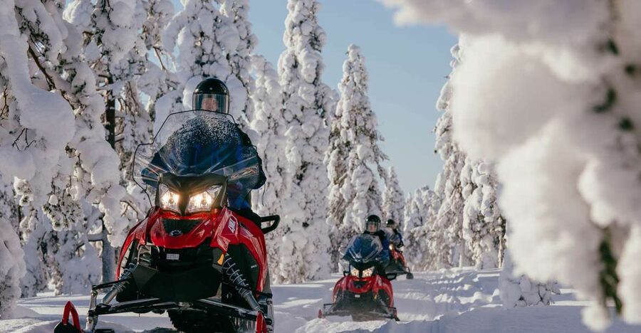 Rovaniemi: Snowmobile Adventure Tour for Adults Only - From Rovaniemi pickup to the forest