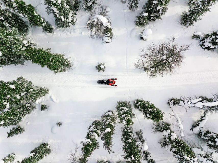 Rovaniemi: Snowmobile Safari Adventure - Getting started at Maakuntakatu 29-31