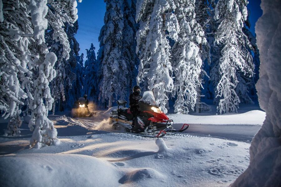 Rovaniemi: Snowmobile Safari & Campfire Evening Escape - A campfire in the pitch-black forest