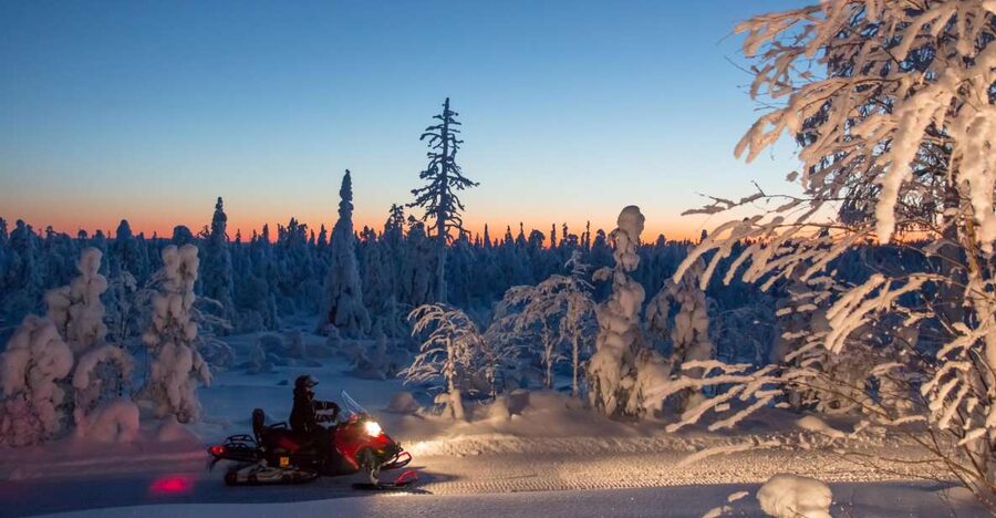 Rovaniemi: Snowmobile Safari & Campfire Evening Escape - Is $175 a fair price?