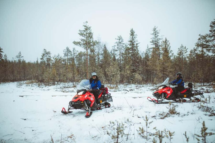 Rovaniemi: Snowmobile Safari into the Wilderness - Into the pine forest and frozen marshlands