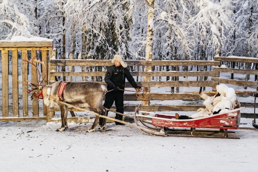 Rovaniemi: Snowmobile Safari, Reindeer & Husky Sleigh Ride - Warm drinks, snacks, and the value of good guides