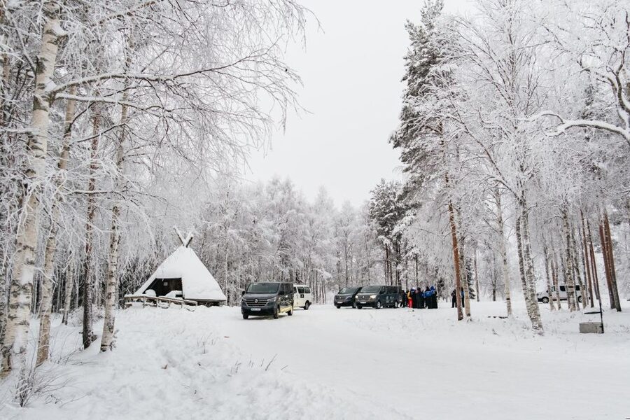 Rovaniemi: Snowmobile Safari, Reindeer & Husky Sleigh Ride - Families, children, and physical limits