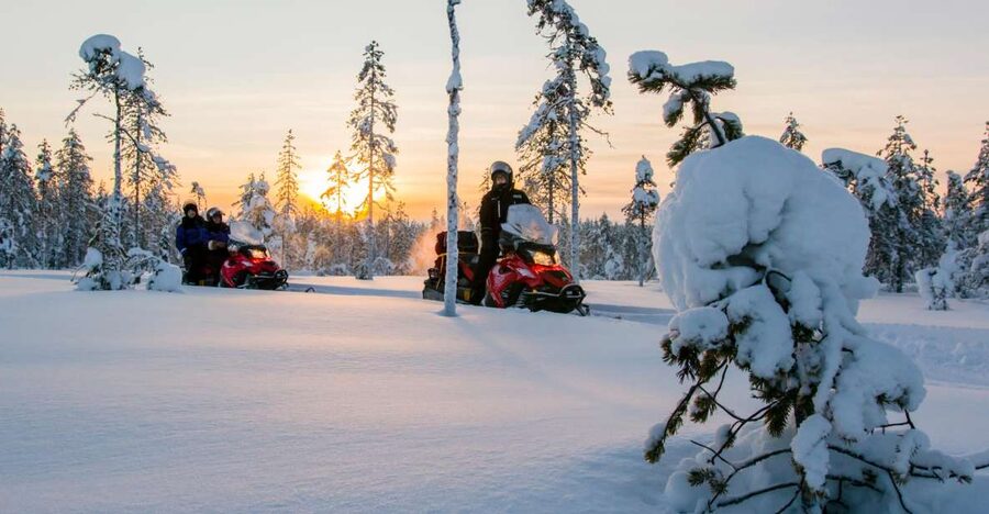 Rovaniemi: Snowmobile Safari to a Reindeer Farm - The big picture: speed, animals, and a warm hut