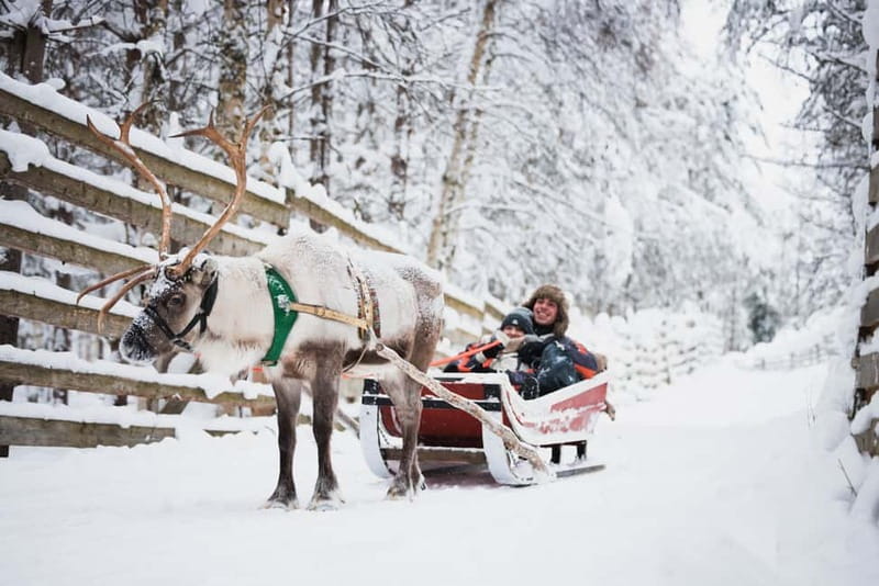 Rovaniemi: Snowmobile Tour and Reindeer Experience - Meeting in Rovaniemi and getting dressed for the cold