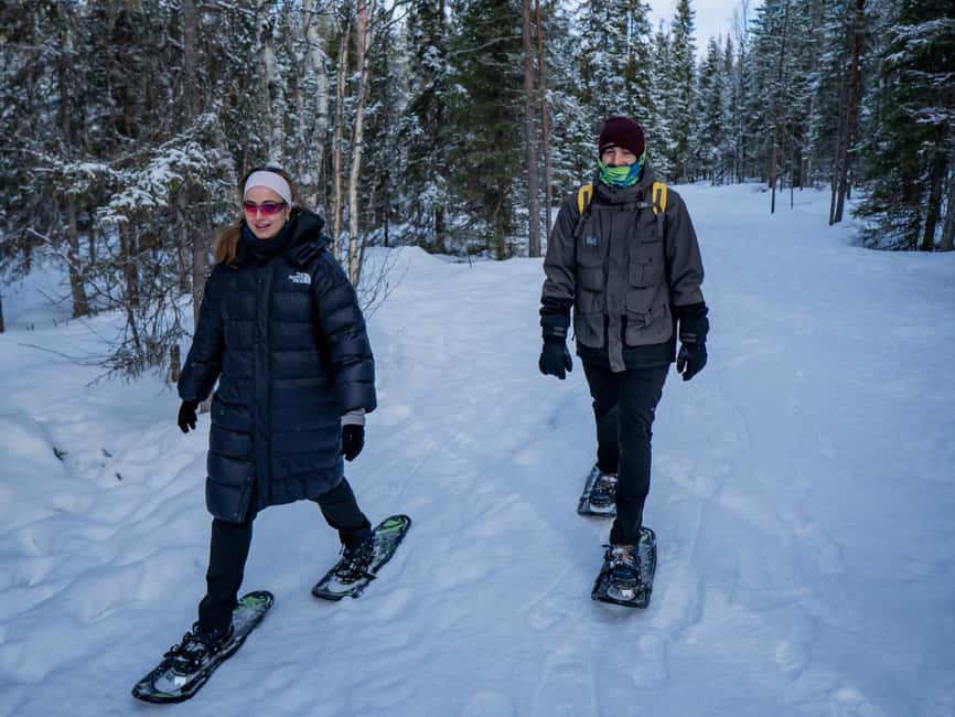 Rovaniemi: Snowshoe Adventure at Vikaköngäs & Barbeque - Key points to know before booking