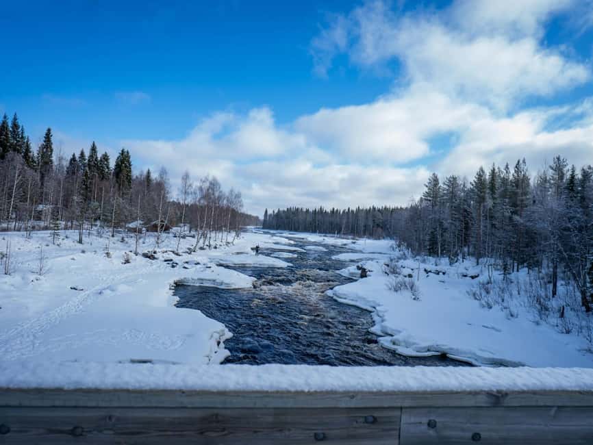 Rovaniemi: Snowshoe Adventure at Vikaköngäs & Barbeque - Snowy forests, frozen lakes, and the pace of the walk