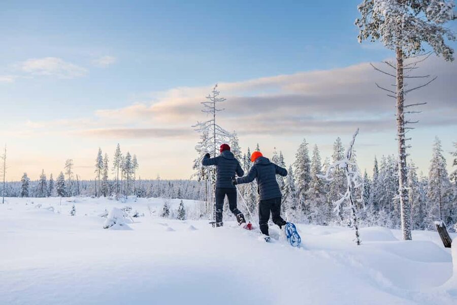 Rovaniemi: Snowshoe Wilderness Adventure - Hiking several kilometers through untouched snow