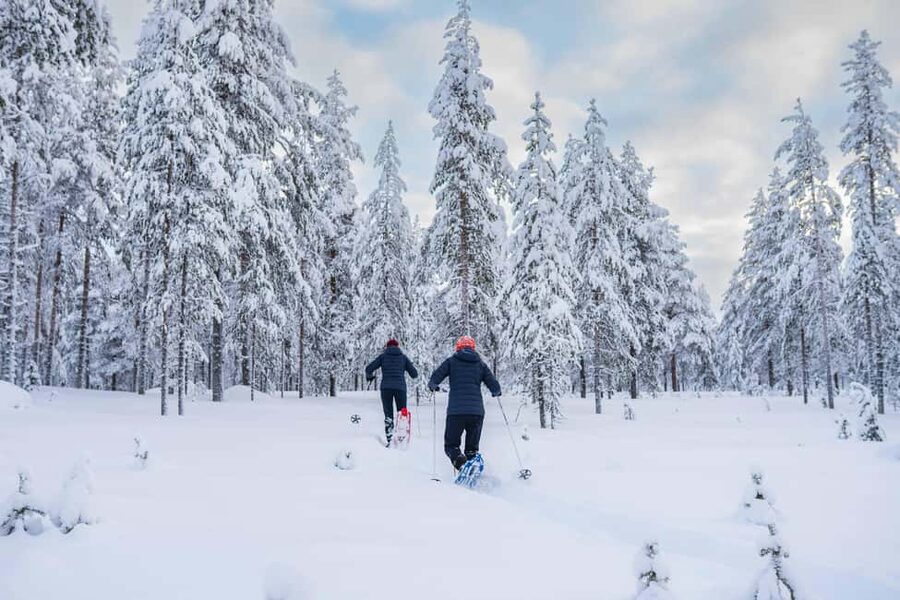 Rovaniemi: Snowshoe Wilderness Adventure - Practical planning for a smoother outing