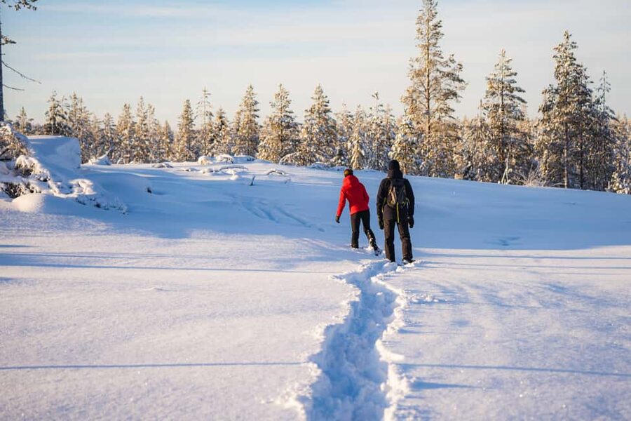 Rovaniemi: Snowshoe Wilderness Adventure - Should you book the Rovaniemi snowshoe adventure?