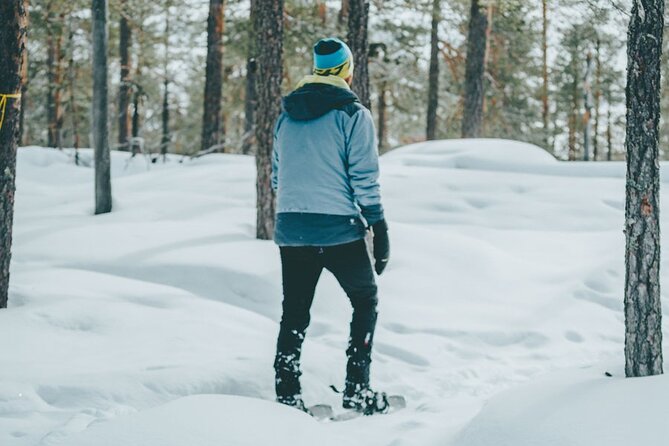 Rovaniemi: Snowshoeing in a magical snowy forest - The morning start and trip into the forest