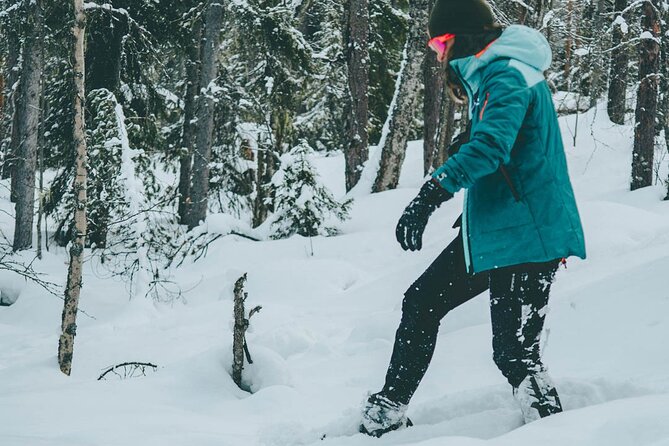 Rovaniemi: Snowshoeing in a magical snowy forest - Who will enjoy this snowshoe outing most?