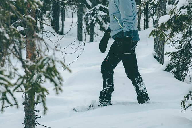Rovaniemi: Snowshoeing in a magical snowy forest - Practical advice before you book