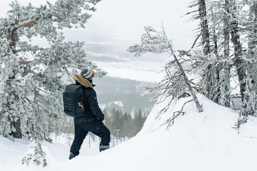 Rovaniemi: Snowshoeing in the Arctic Wilderness - Walking through the snowy Arctic forest