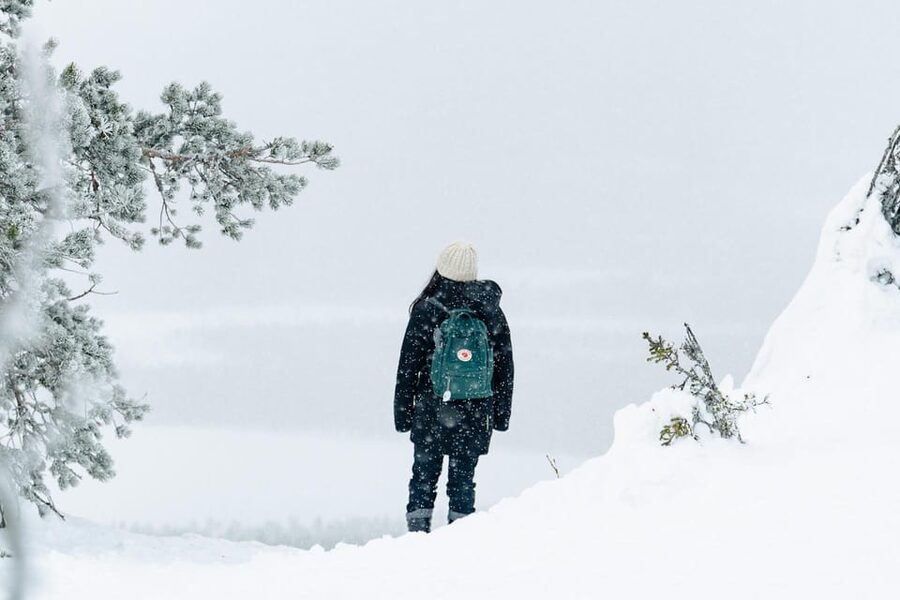 Rovaniemi: Snowshoeing in the Arctic Wilderness - Who should book this activity?