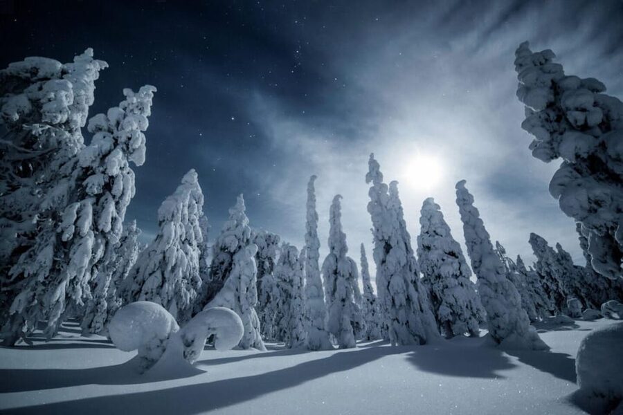 Rovaniemi: Snowy Forest Night Hike with Northern Lights - The watchtower pause and panoramic views