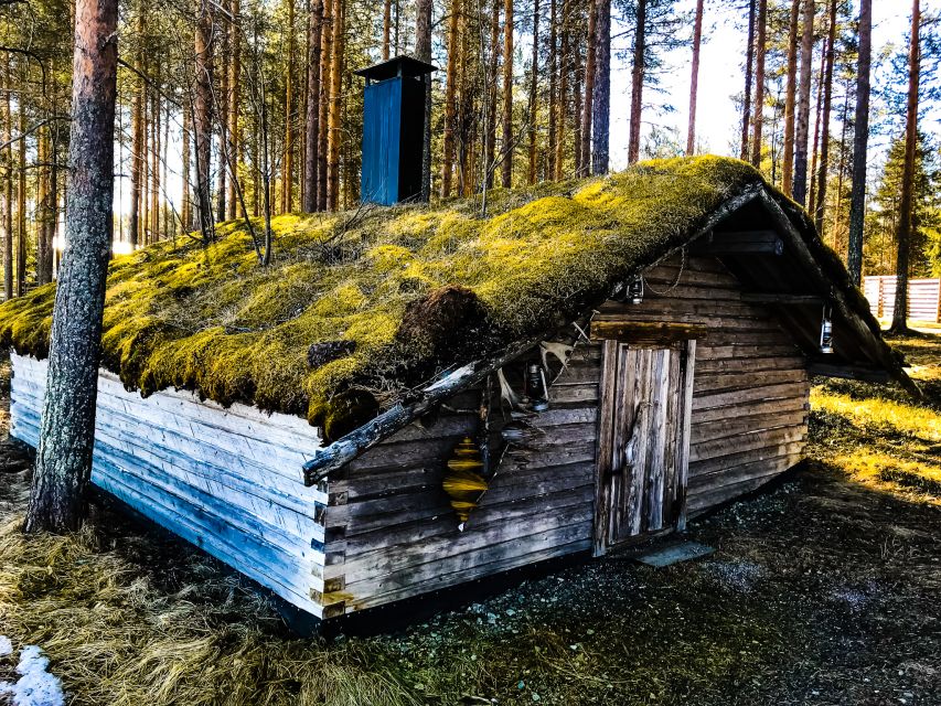 Rovaniemi: Summer Reindeer Farm Experience - Key points to know before booking