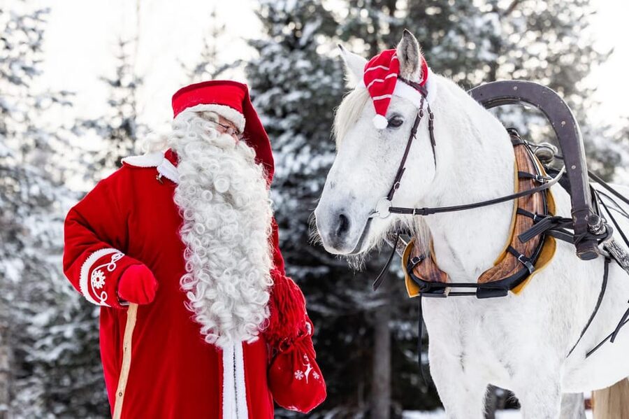 Rovaniemi: Traditional Finnhorse Sleigh Ride at SCV (3km) - A slower kind of Lapland adventure