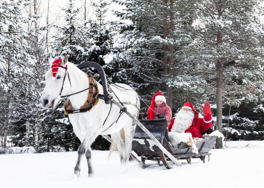 Rovaniemi: Traditional Finnhorse Sleigh Ride at SCV (3km) - Finding Aurora Horses Napapiiri