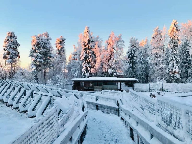 Rovaniemi: Trip to Ranua Zoo with Tickets - The white bear and other seasonal highlights